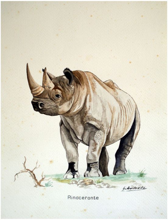 Rhinoceros - José De Andrade artworks