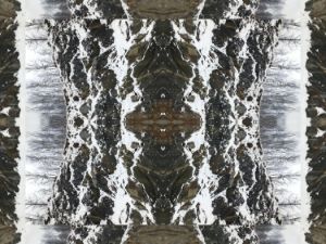 Rocky Winters II