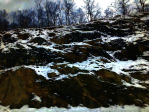 Rocky Winters