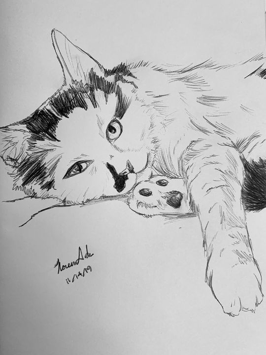 Venus Lounging Nree Drawings Illustration Animals