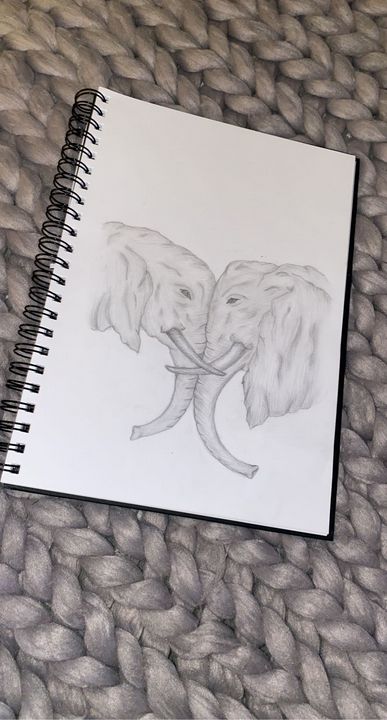 Elephants - TNM Art