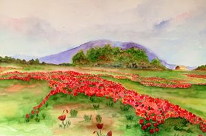 poppy field - Mahjabin