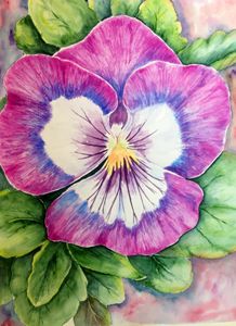 A Pansy - Mahjabin