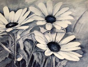 daisies in black and white - Mahjabin