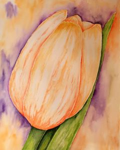 A Tulip - Mahjabin