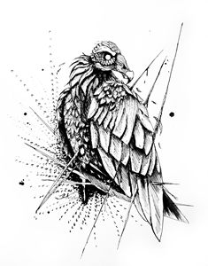 Vulture Prophet