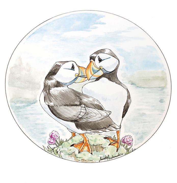 Project Puffin - Jeanette Andromeda