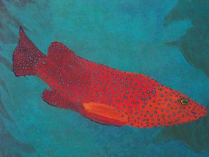 Redfish,bluefish