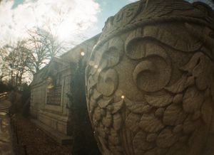 Central Park, Fisheye lens