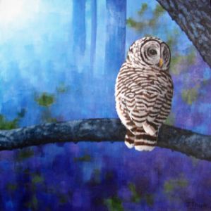 Barred Owl in the Twilight