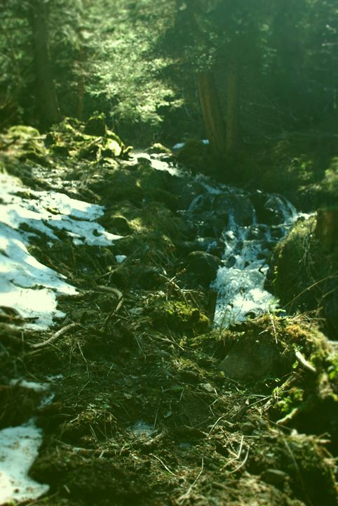 Green Mountain Stream - Hellz