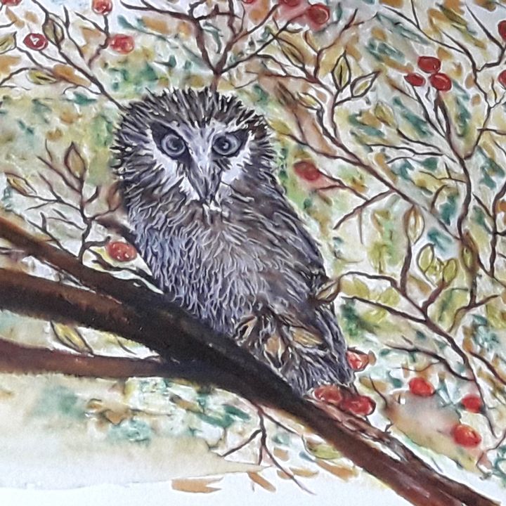 Day Owl - Nicole's Closet