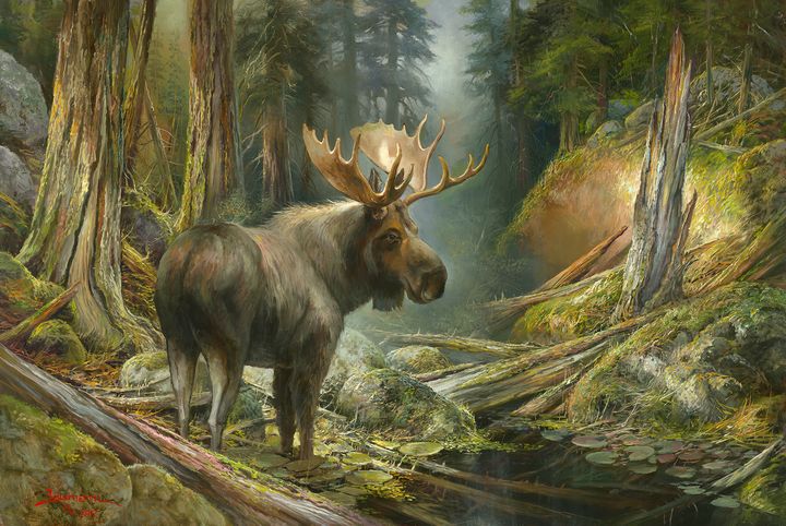 Moose - Stefan Baumann - Paintings & Prints, Animals, Birds, & Fish ...