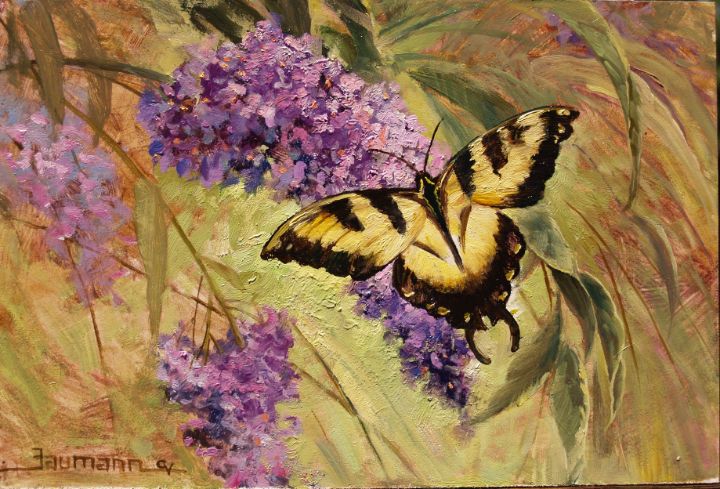 Western Tiger Swallowtail Butterfly - Stefan Baumann