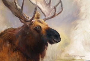 "Moose" Grand Tetons National Park - Stefan Baumann