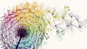 Dandelion Colorful Line Art - graphiXperience