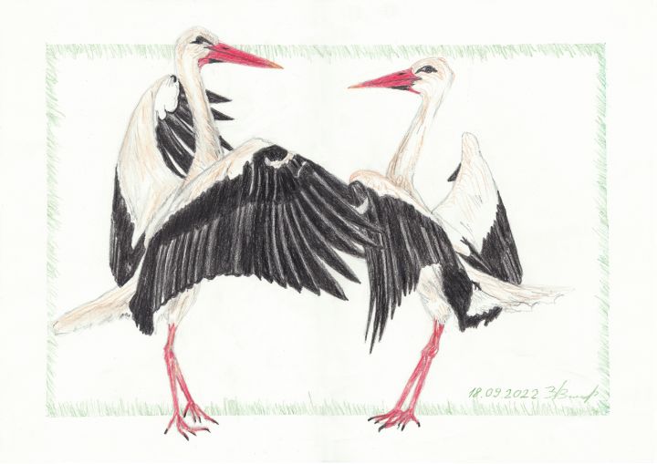 Dance of storks - Art workshop - Drawings & Illustration, Animals ...