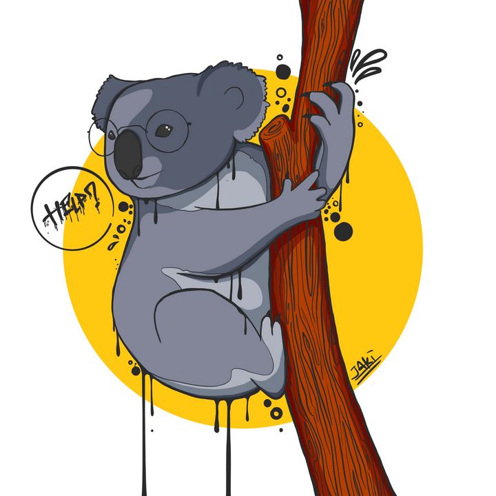 Koala - jaki
