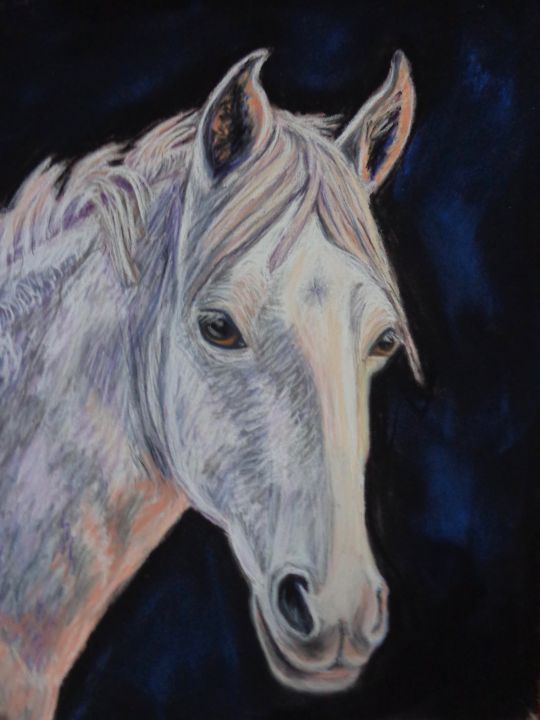 White horse - Andrea's Shop - Paintings & Prints, Animals, Birds ...