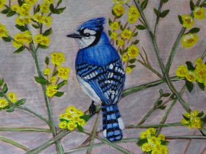 Resting Blue Jay - Amy's Art - Drawings & Illustration, Animals, Birds, &  Fish, Birds, Bluejays - ArtPal