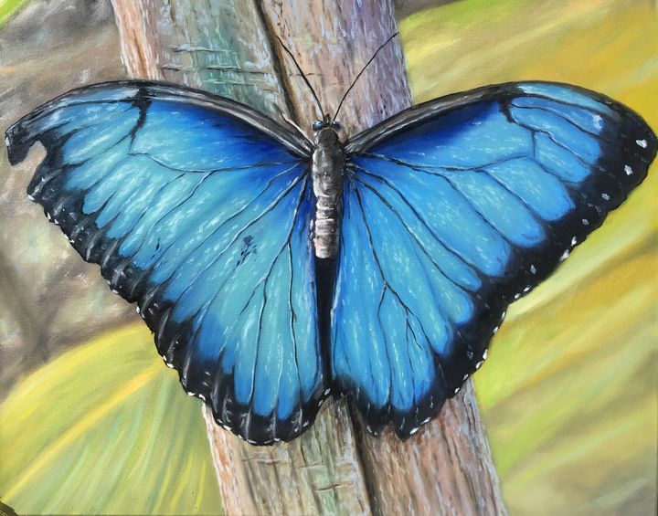Blue monarch butterfly oil painting - Sunscapes Art by Joseph Cantin ...