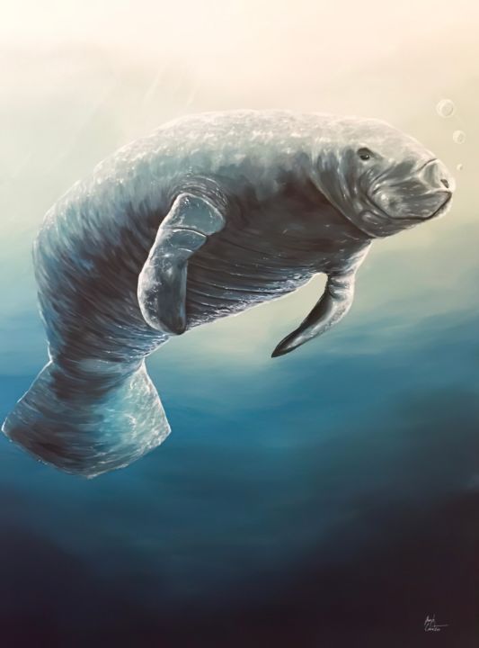 Peaceful Manatee - Sunscapes Art by Joseph Cantin - Paintings & Prints ...