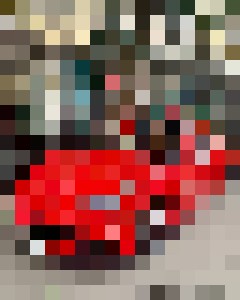 David Nguyen - Photography