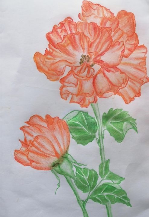 Color pencil flowers : r/Beginner_Art