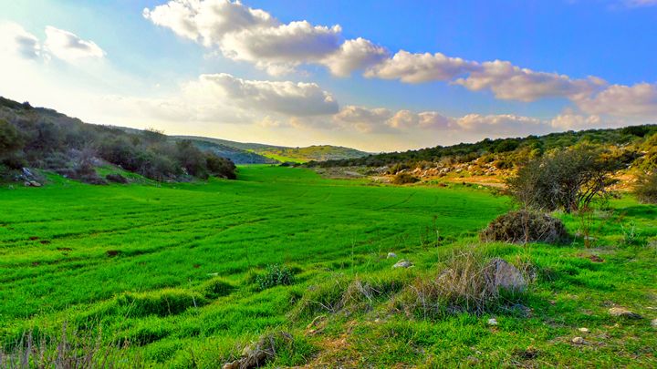 Rolling Hills - Jonathan M. Schwartzman - Photography, Places & Travel ...