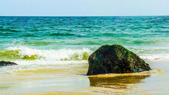 Jersey Shore - Jonathan M. Schwartzman