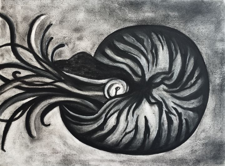 Nautilus - Art Attack - Paintings & Prints, Animals, Birds, & Fish