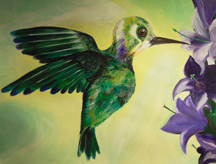 Hummingbird - H.S.Everetts - Paintings & Prints, Animals, Birds, & Fish,  Birds, Hummingbirds - ArtPal