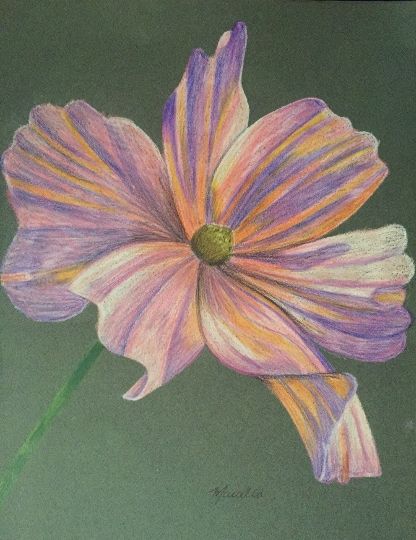 Kiddie style crayon drawing of a flower on a meadow Stock Photo - Alamy