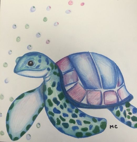 Color pencil drawing of a turtle on sketchbook paper on Craiyon