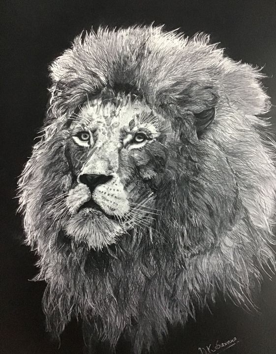Lion sketch by DK - Saxena DK