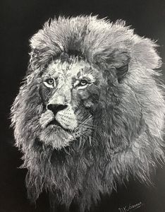 Lion sketch by DK