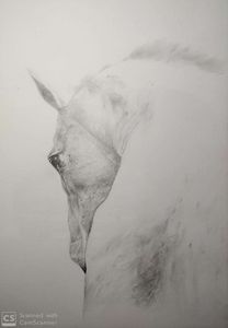 Horse pencil sketch