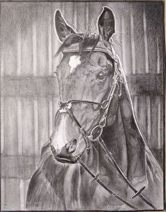 pencil sketch horse - Saxena DK