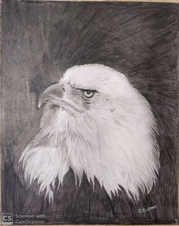 eagle pencil sketch - Saxena DK