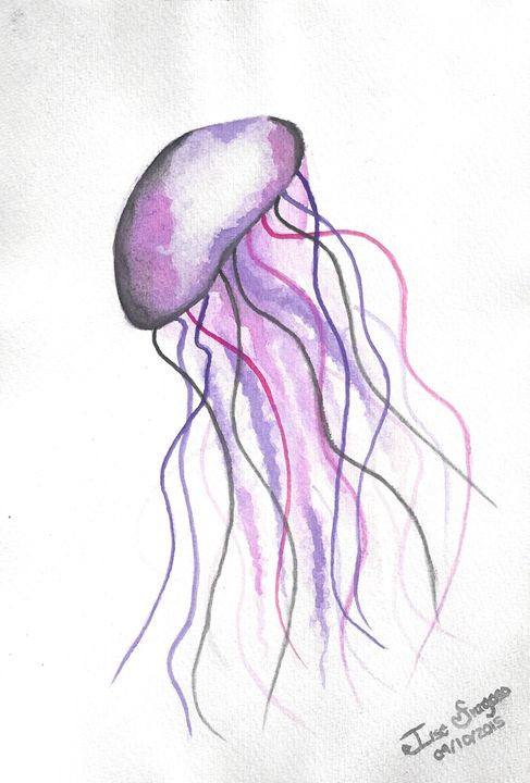 Jellyfish - Ilse Fragoso