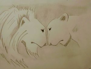 Lions in Love
