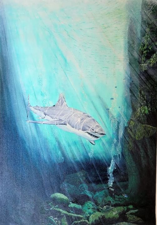 Shark with Divers - Hubert - Paintings & Prints, Animals, Birds, & Fish ...