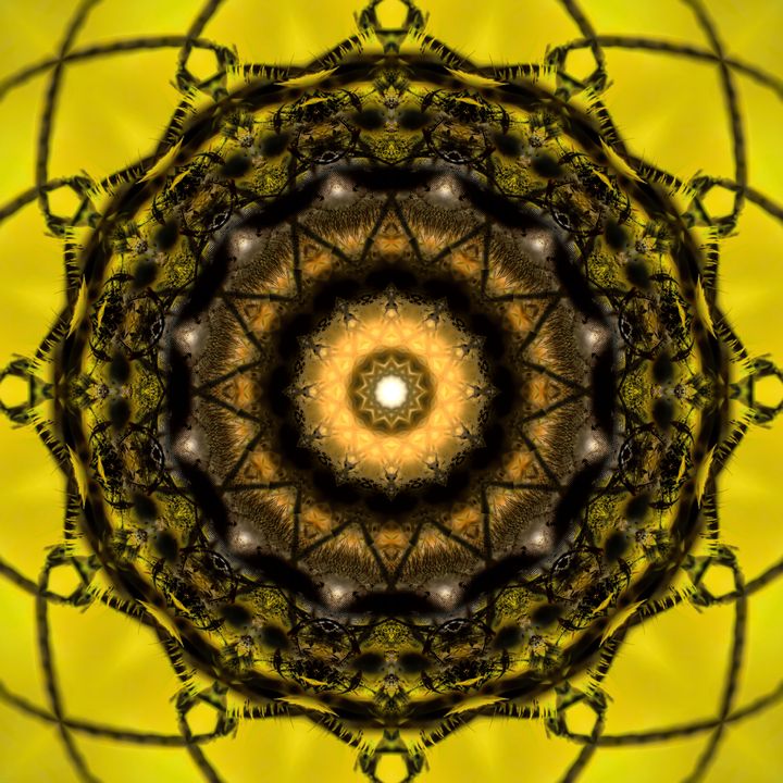 Nectar Of Ambrosia - Golden Wisdom - Gateways Of Hyperspace