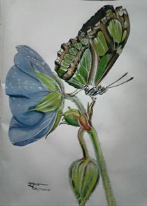 Cat And Butterfly Pencil Art - Deepa paintings - Drawings & Illustration,  Animals, Birds, & Fish, Cats & Kittens, Other Cats & Kittens - ArtPal