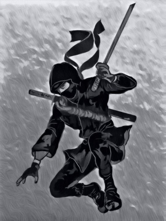 The Ninja Strikes - Warrior Spirit Ninjas