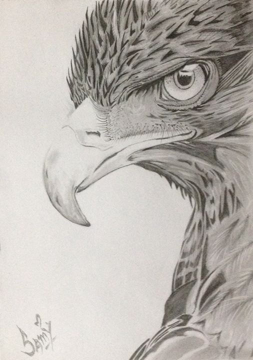 A Majestic Bird - Eagle - Sam sahil - Drawings & Illustration, Animals ...