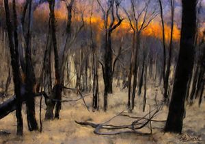 Bush Fire Devastation