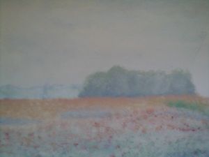 Coloured Summerfield