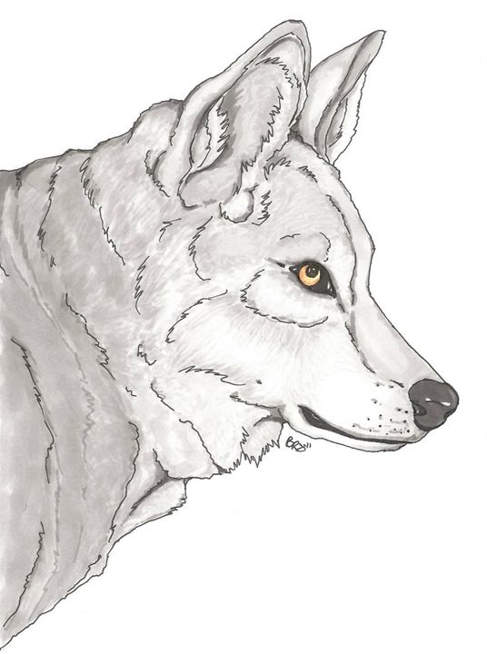 Beth Rhodes Art - Drawings & Illustration, Digital Art & AI