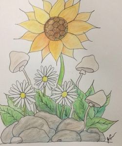 Daisy and Sun
